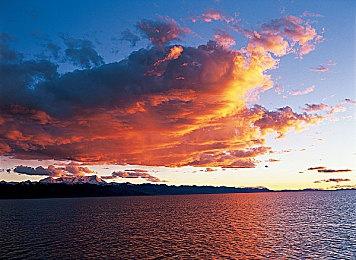 天妒英才 24岁马拉松世界纪录保持者车祸去世