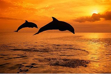 《街头霸王6》不知火舞3D美图 身材火辣到犯规！